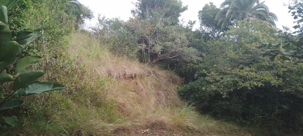 1 173 m² Land