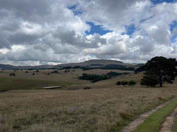 1 ha Land