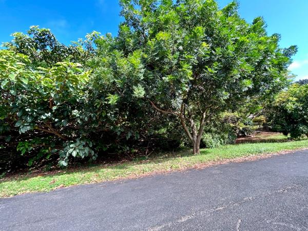 1 103 m² Land