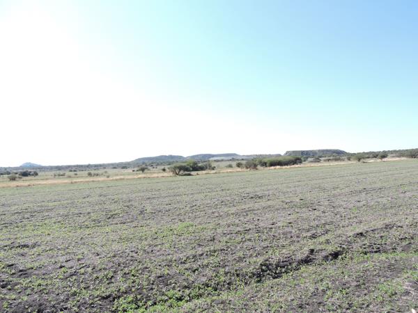 21.4 ha Land
