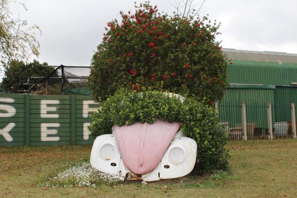 495  m² Retail Space