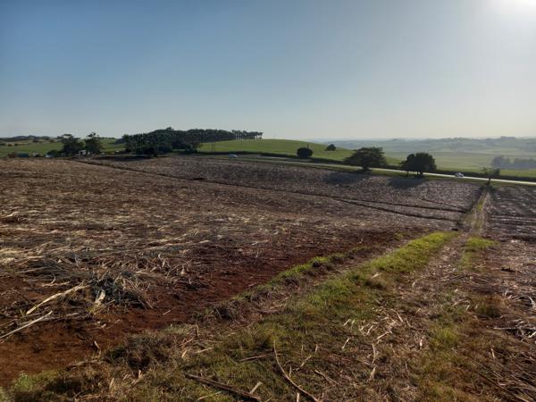4 ha Land