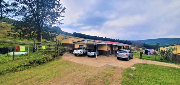 50.8 ha Smallholding