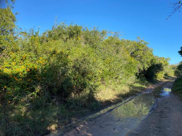 499 m² Land