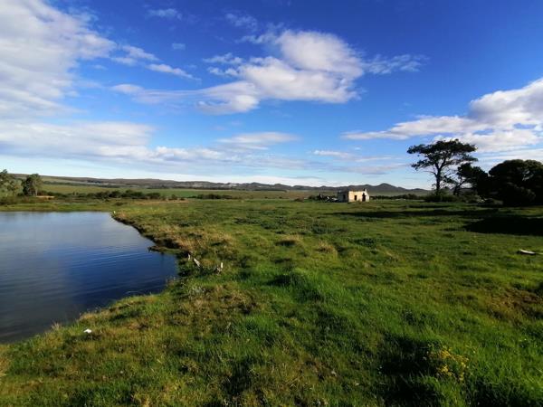 11 ha Agricultural Holding