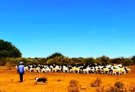 11.2 ha Commercial Farm