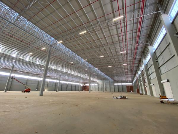 19 646  m² Industrial space