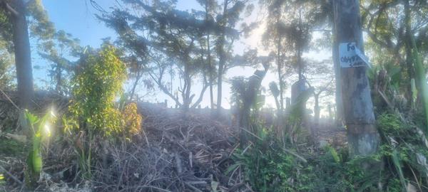 1 119 m² Land