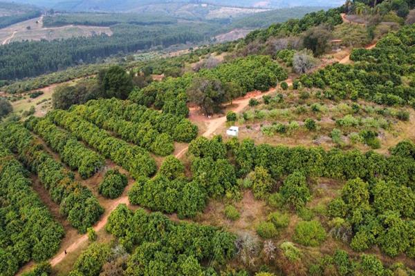 57.7 ha Farm