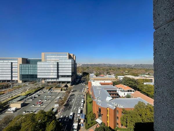 806.1 m² Commercial space
