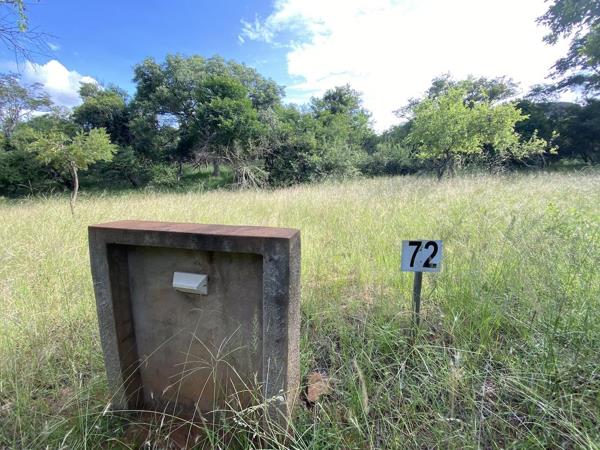 1 ha Land