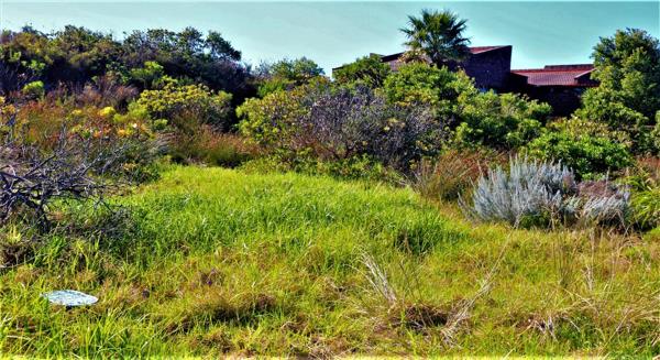 1 008 m² Land