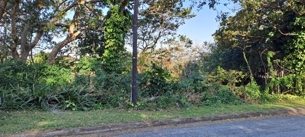 1 368 m² Land