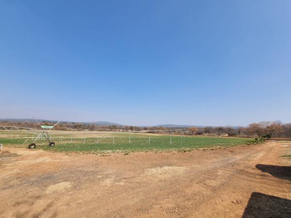 14 ha Land