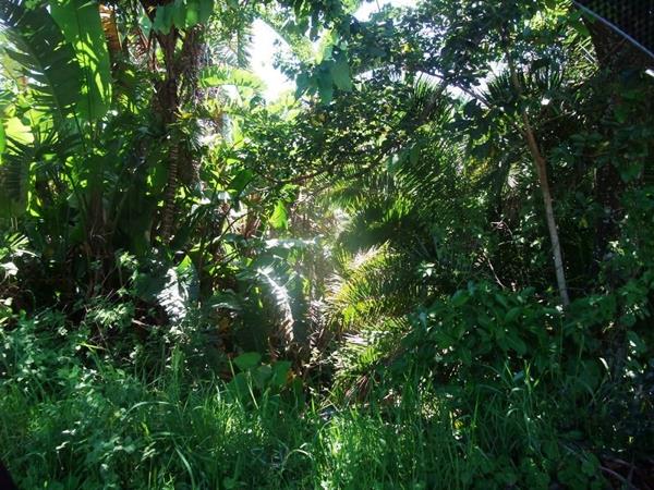 1 200 m² Land