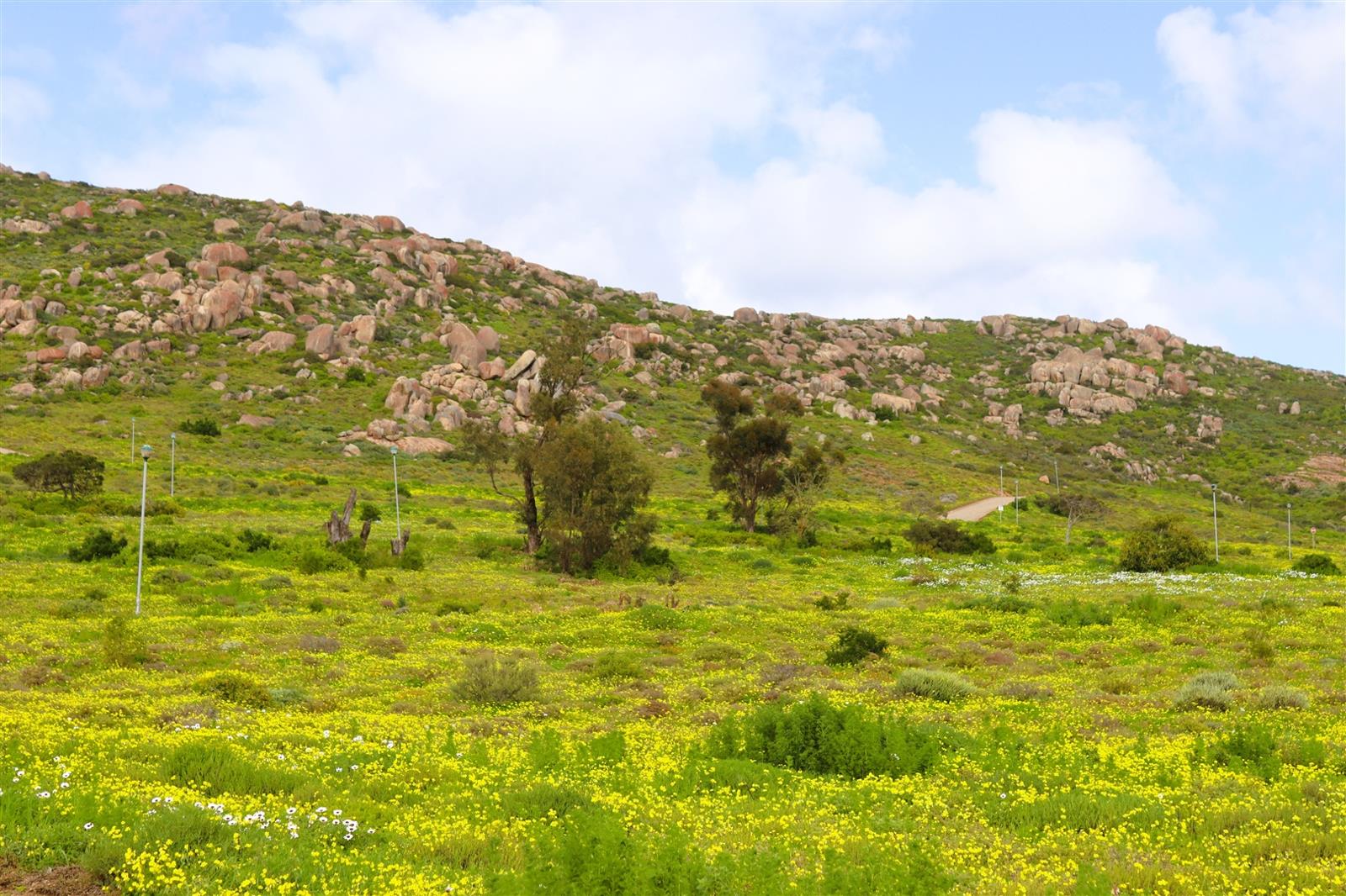 459 m² Land available in St Helena Views