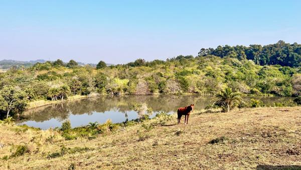 18.9 ha Farm with House