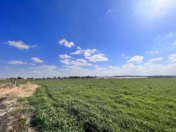 10.4 ha Land