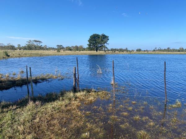 21.9 ha Farm