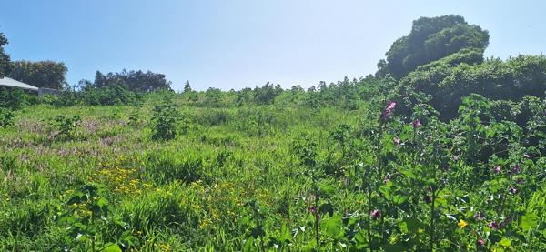 1 745 m² Land