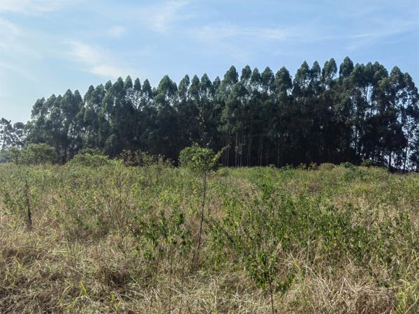 420 m² Commercial space