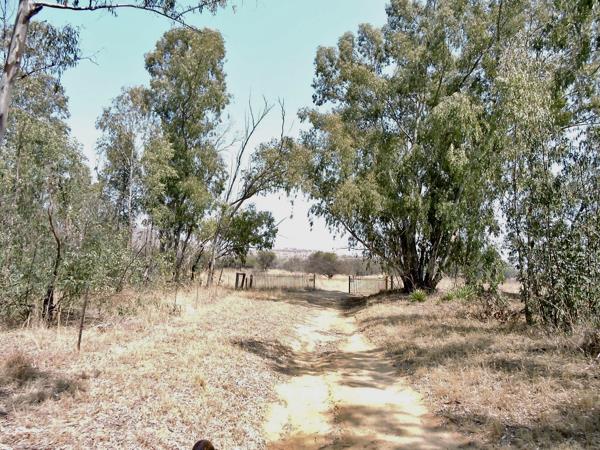 35 ha Farm
