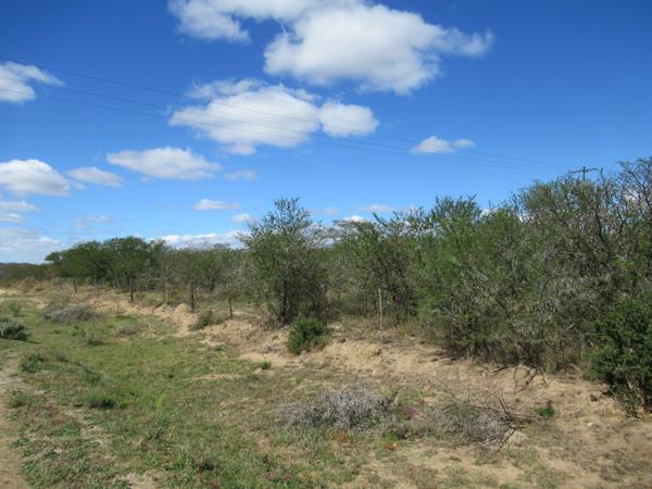 8 729 m² Land