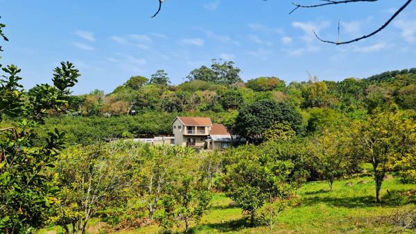 2.2 ha Smallholding