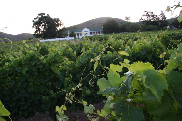 380 ha Farm