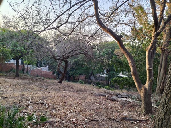1 817 m² Land