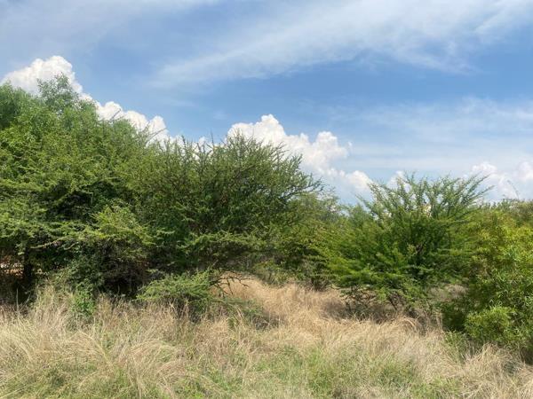 1 021 m² Land