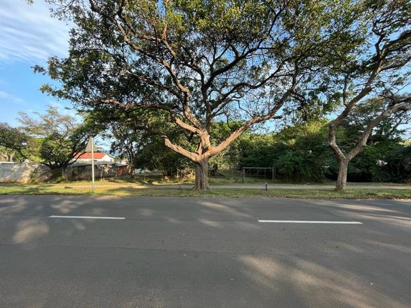 2 024 m² Land