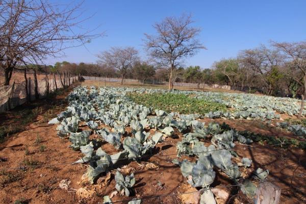 35.8 ha Farm