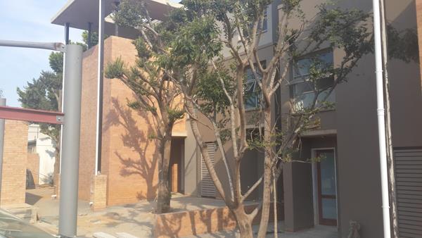 2 Bedroom Duplex