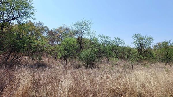 5.3 ha Land