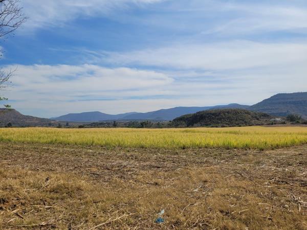 200 ha Farm