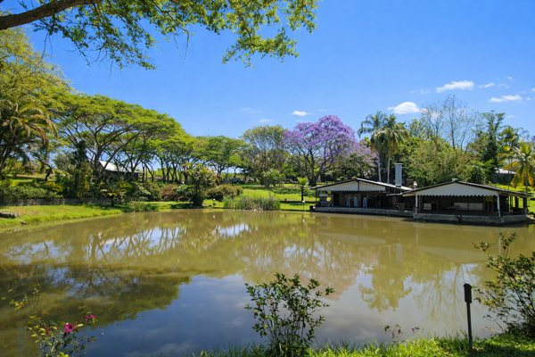2 500 m² Commercial space