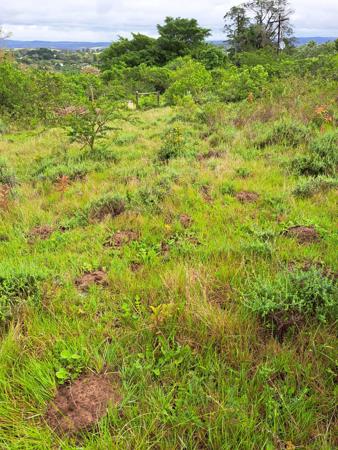 5 407 m² Land
