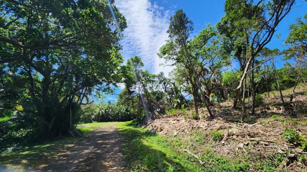 2 025 m² Land