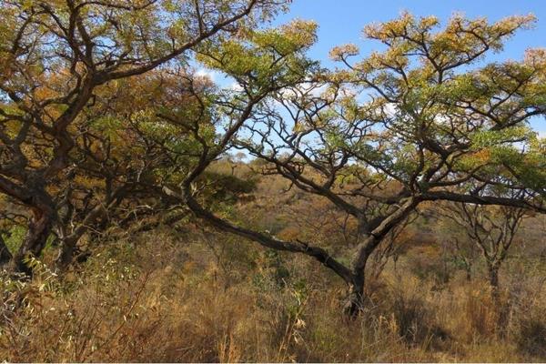 2 500 m² Land