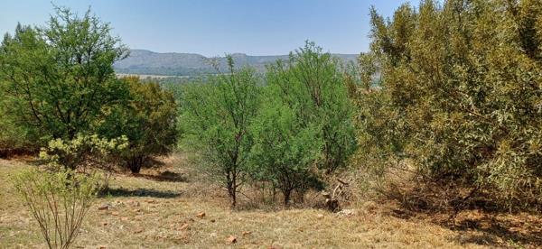 1 096 m² Land