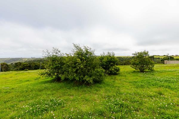 816 m² Land