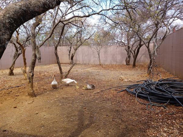 8 ha Smallholding