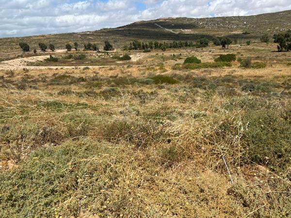 493 m² Land